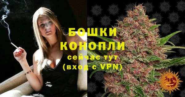 таблы Снежногорск
