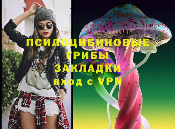 таблы Снежногорск