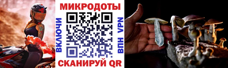 darknet как зайти  цена   Новотитаровская  Псилоцибиновые грибы Magic Shrooms 